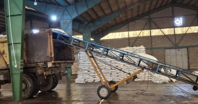ارسال بیش از1045تن انواع کود کشاورزی یارانه ای ازت ،فسفات،پتاس در شهرستان لنگرود در فروردین سال 1404 