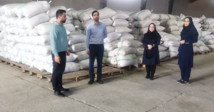 بازدید نماینده ثبت گواهی بذر  از انبار بذر شرکت خدمات حمایتی کشاورزی استان گیلان