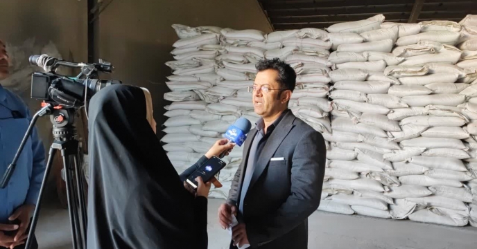 حمایت و پشتیبانی شرکت خدمات حمایتی کشاورزی استان همدان از  کشت گندم در شهرستان کبودرآهنگ با بیشترین میزان کود تخصیصی 