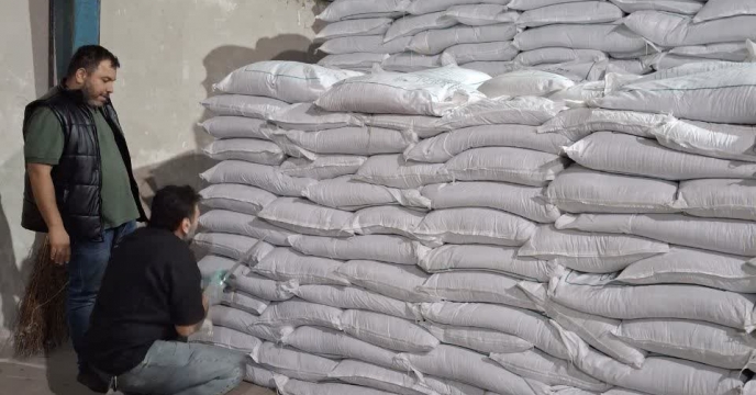 توزیع 750 تن کود سوپرفسفات ساده  گرانوله  در  استان مازندران انجام گردید