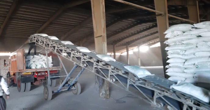 تامین وتوزیع197 تن کود کشاورزی سولفات پتاسیم گرانوله در استان کرمانشاه