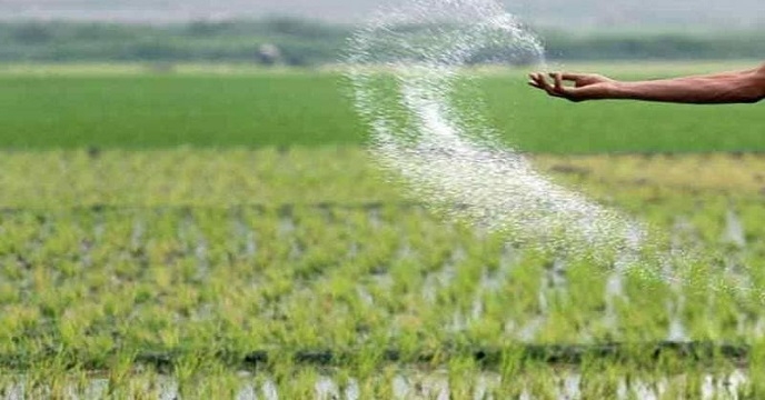 توزیع هزار تن کود کشاورزی فسفات برای مصارف زراعی در خوزستان