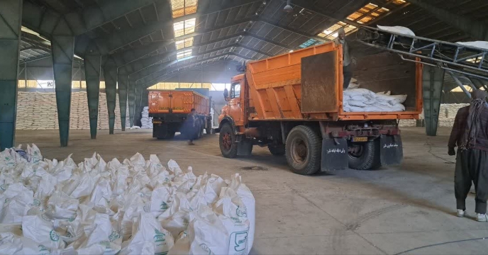 توزیع مجموعا بیش از 822تن کود سولفات پتاسیم گرانوله تولید صنعت پتاس آسیا بین انبار کلیه کارگزاران  استان اصفهان 