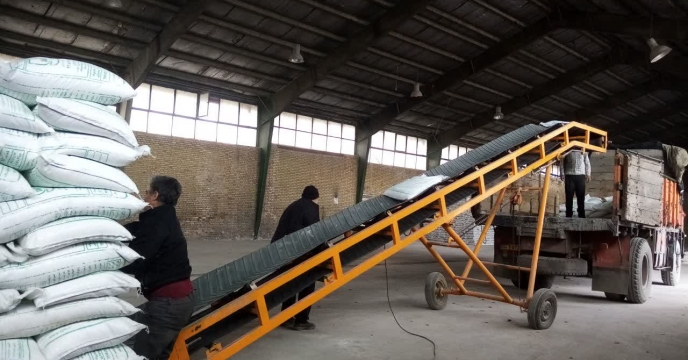 حمل و توزیع 56 تن کود کشاورزی کلرور پتاسیم گرانوله به  شهرستان شیروان در طول ده ماهه سال جاری 