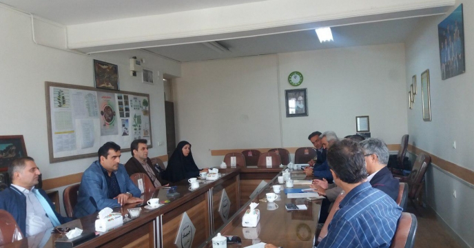 بازدید از مزرعه پایلوت تغذیه گیاهی گندم در استان خراسان رضوی