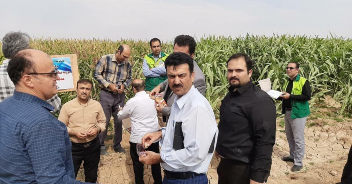 بازدید از مزارع سورگوم 
