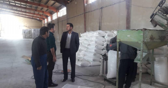 بازدید مستمر مدیر استان از عملیات کیسه گیری کودهای فله 