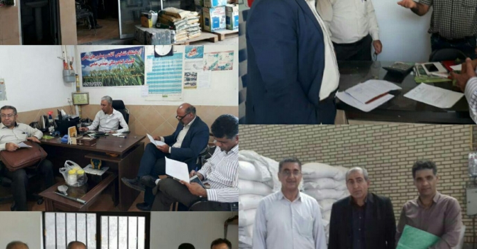 اقدامات و برنامه ریزی‌های انجام شده لازم جهت تامین به موقع نهاده ها کودهای شیمیایی در شهرستان کردکوی استان گلستان 