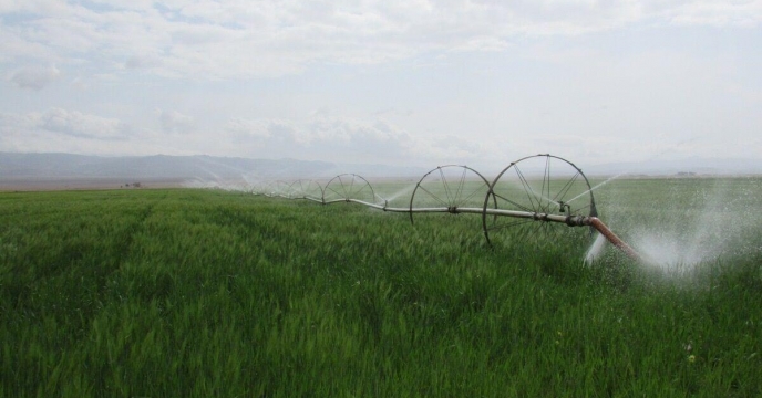 قم سومین استان موفق در اجرای سامانه‌های نوین آبیاری شد