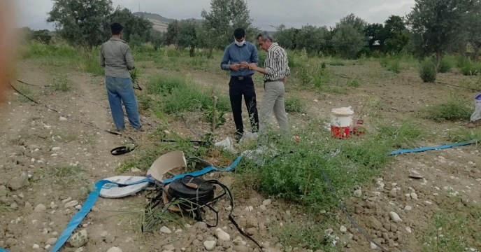 راه اندازی سیستم آبیاری قطره ای نوار تیپ برای  نها ل های غرس شده  انبار سازمانی گرگان