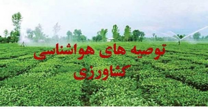 مانیتورینگ توصیه های فنی زراعی و باغی هواشناسی کشاورزی استان  از طریق سامانه۱۵۵۹ باشگاه کشاورزان گلستا