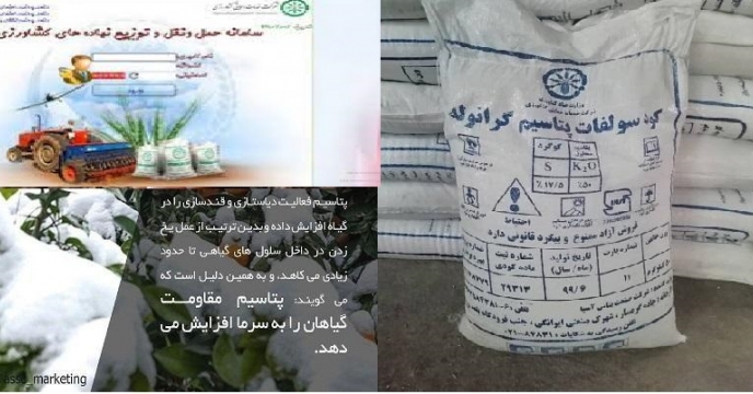 افزایش بیش از دو برابری توزیع کود پتاسه در گلستان