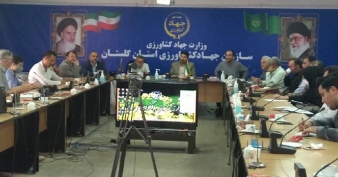 حضور سرپرست شرکت خدمات  حمایتی کشاورزی  استان گلستان  در نشست هم اندیشی رییس سازمان جهادکشاورزی استان گلستان با مدیران شرکت های دانش بنیان