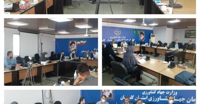 حضور معاون فنی  شرکت خدمات حمایتی  کشاورزی  استان گلستان در دومین جلسه کمیته فنی طرح جهش تولید در دیمزارهای استان گلستان