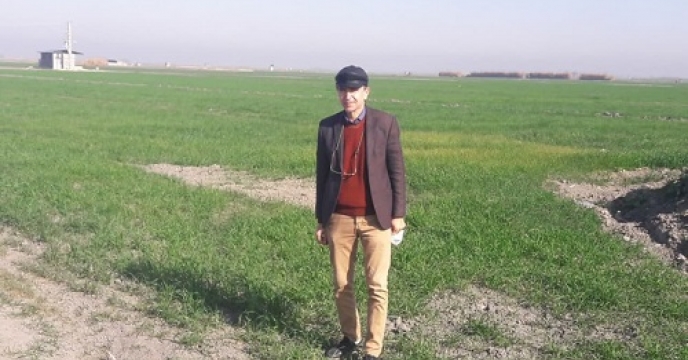 بازدید از مزارع تکثیری بذر  گندم در روستای للدوین شهرستان گندم