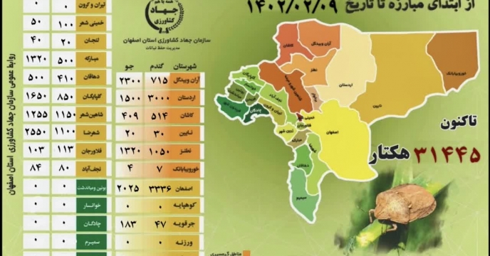 مبارزه با سن گندم و جو در استان اصهان در سطح 31000 هکتار صورت گرفته است 