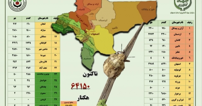 مبارزه با سن غلات در سطح 65000 هکتار در استان اصفهان