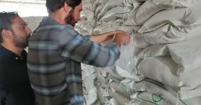 نمونه برداری از کود سولفات پتاسیم پودری در انبار مرکزی استان کرمان 