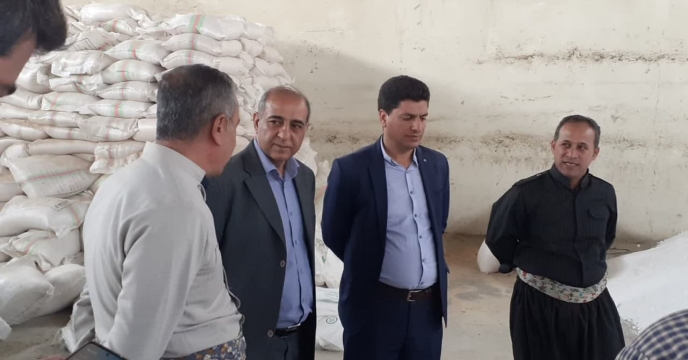 بازدید مدیر استان از انبارهای کارگزاران بخش مرکزی شهرستان دیواندره