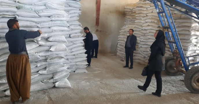 کنترل کیفی و نمونه برداری از کود موجود درانبار سازمانی
