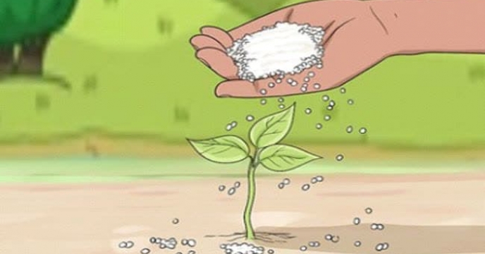 ذخایر بیش از نه هزار و327 تن انواع کود کشاورزی یارانه ای ئا ابتدای سال1404