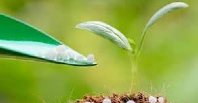 بهبود کیفیت و کمیت ‌محصولات زراعی و‌باغی با ارسال  3 هزارو 758 تن  انواع کود کشاورزی یارانه ای به شهرستان  کردکوی