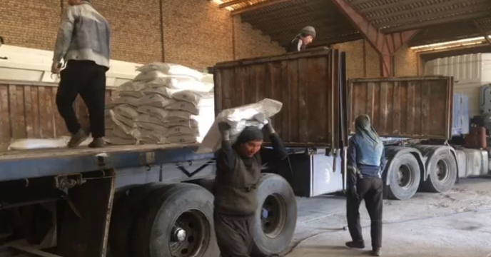  توزیع 10 تن کود سوپر فسفات ساده  برای حمایت از کشاورزان شهرستان مراوه تپه؛ گامی در ارتقاء  سلامت خاک