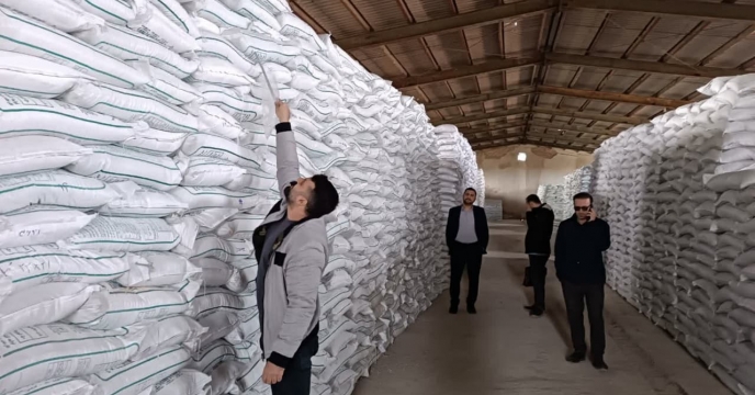 تامین و توزیع مقدار350  تن کود سولفات پتاسیم برای کشاورزان شهرستان  رامیان در هشت  ماهه سال جاری