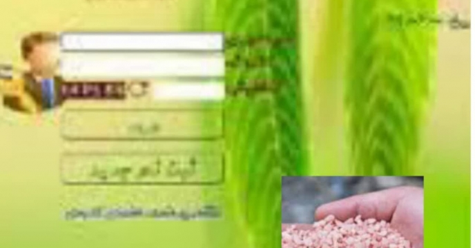 صدر بیش از15574 فقره حواله الکترونیکی کود برای توزیع به کشاورزان شهرستان مینودشت در سال1403