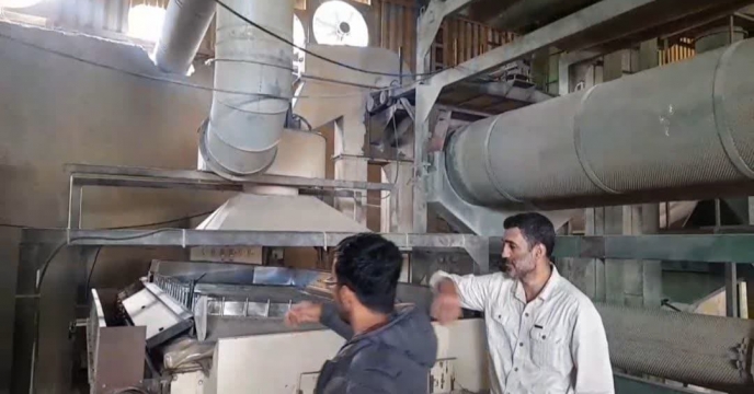 بازدید از وضعیت دستگاه بوجاری شرکت تولید کننده بدر مینو بذر در شهرستان گالیکش