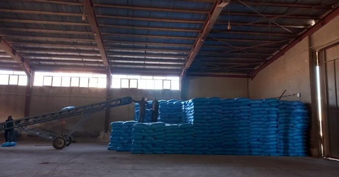 صدور 5800 تن کود یارانه ای از طریق حواله الکترونیک برای کشت جو در استان قم