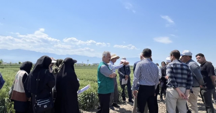 حضور کارشناسان  شرکت خدمات حمایتی کشاورزی استان گلستان درهفته انتقال يافته هاى تحقيقاتى گندم