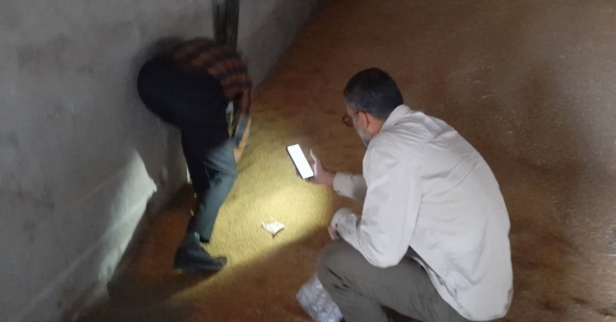 بازرسی ونمونه برداری ازمانده بذر گندم سال گذشته  به منظور کنترل آفات انباری در انبار قرق گلستان