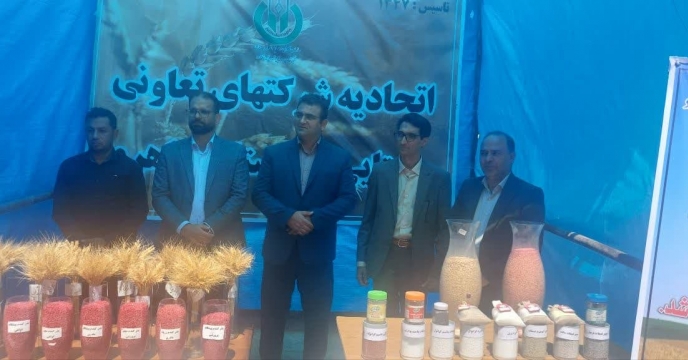 همایش روز ملی گندم و نان در استان برگزار شد