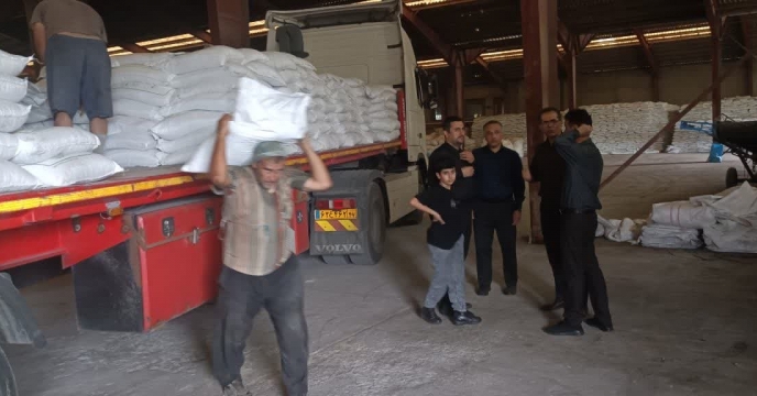 «شرکت خدمات حمایتی کشاورزی استان گلستان تعطیل نیست»  بازدید مدیر شرکت خدمات حمایتی کشاورزی استان گلستان از روند حمل، تخلیه ، بارگیری کود شیمیایی سولفات پتاسیم گرانوله در انبار سازمانی گرگان 