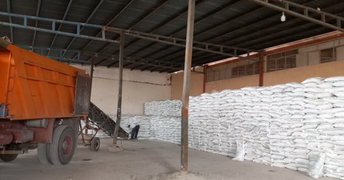 تغذیه علمی سبزی و صیفی‌جات قم؛ ۷۳ تن انواع کود یارانه‌ای توزیع شد