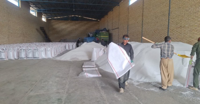 عملیات کیسه گیری کود اوره در انبار کارگزاری در شهرستان دیواندره