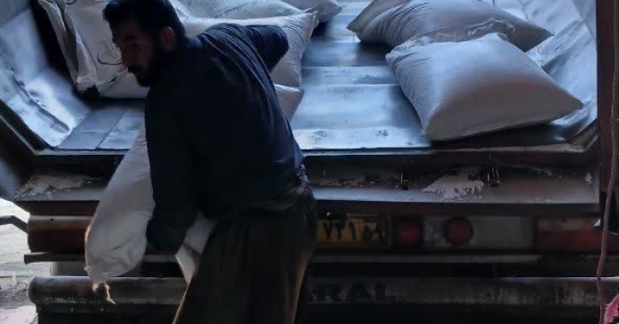 تامین 50 تن کود اوره در انبار کارگزاری در شهرستان سنندج توسط  شرکت خدمات حمایتی کشاورزی استان کردستان