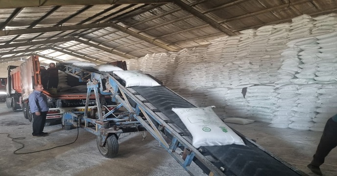 حمل 450تُن کود کشاورزی  از شرکت خدمات حمایتی کشاورزی استان خوزستان به شهرستان هفتگل انجام شد