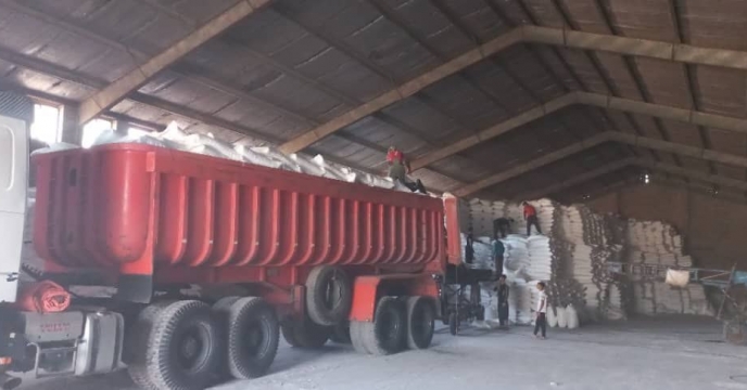 توزیع و ارسال میزان ۸۲۵ تن کودکشاورزی فسفات در 9 ماه سال جاری برای شهرستان هویزه