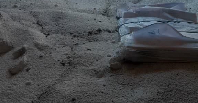 تامین میزان 75 تن کود اوره در انبار کارگزاری شهرستان قروه