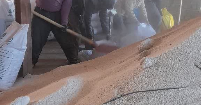 عملیات کیسه گیری کود کشاورزی اوره در انبار کارگزاری در شهرستان قروه