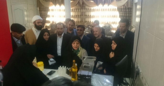 بازدید معاون رئیس جمهور از صندوق خرد زنان روستایی