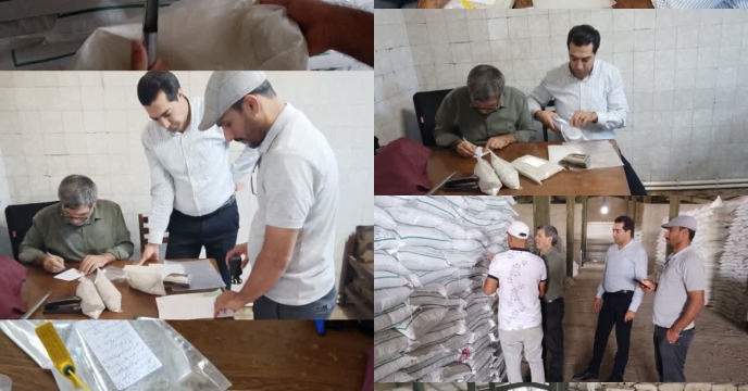 گزارش نمونه برداری از کود سوپر فسفات تریپل شرکت کیمیاداران کویر