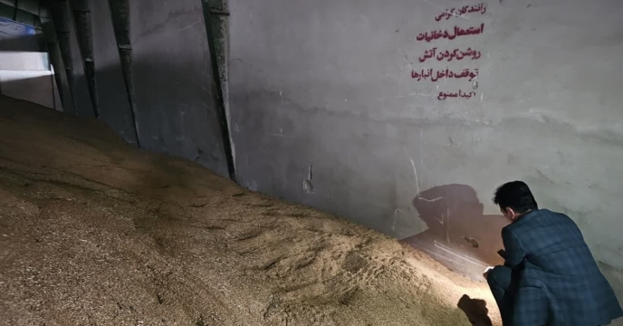 بازدید از وضعیت کنترل  آفات انباری در انبار بذر  گندم قرق گلستان