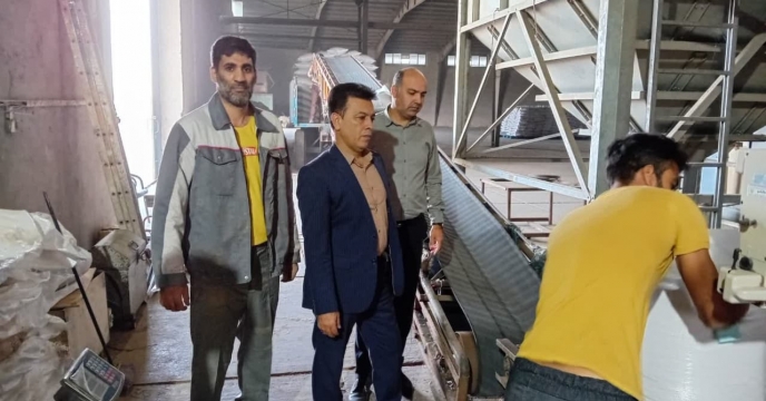 بازدید مدیر  شرکت خدمات  حمایتی  کشاورزی استان گلستان  از روند بوجاری ، ضدعفونی و کیسه گیری ارقام بذری گندم در انبارقرق