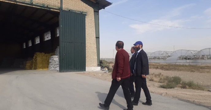 بازدید مدیر استان تهران به همراه کارشناسان ستاد از کارگزاری توزیع نهاد های کشاورزی نواب صفوی اسلامشهر و مصاحبه با مدیرعامل این کارگزاری