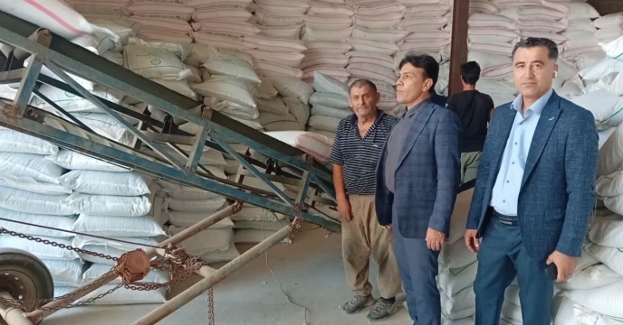 بازدید  از کارگزاری کود  شهرستان  آق قلا
