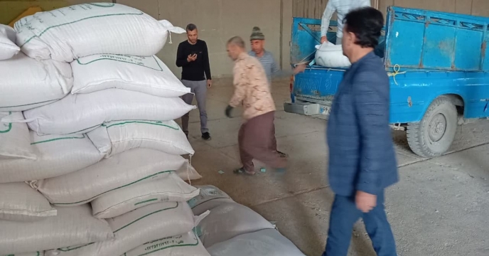 بازدید مدیر شرکت خدمات حمایتی  کشاورزی استان گلستان  از کارگزاری  کود شهرستان مراوه تپه