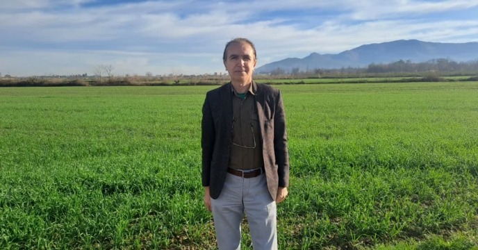 بازدیداز مزرعه تکثیری  بذر گندم جعفر خاندوزی  در روستای  والش آباد شهر سرخنکلاته گلستان